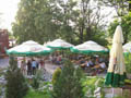 Galeria Złoty Wiek