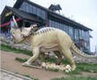 Krynica Zdrój